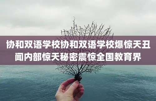 协和双语学校协和双语学校爆惊天丑闻内部惊天秘密震惊全国教育界