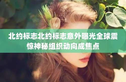 北约标志北约标志意外曝光全球震惊神秘组织动向成焦点