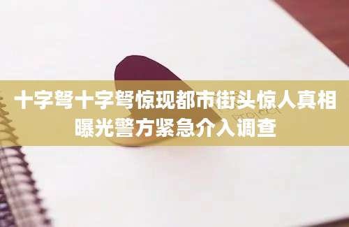 十字弩十字弩惊现都市街头惊人真相曝光警方紧急介入调查