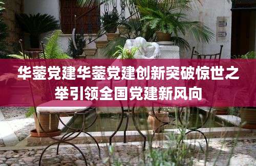 华蓥党建华蓥党建创新突破惊世之举引领全国党建新风向