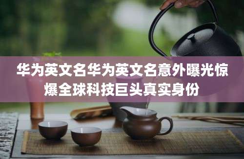 华为英文名华为英文名意外曝光惊爆全球科技巨头真实身份