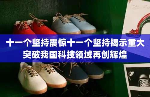 十一个坚持震惊十一个坚持揭示重大突破我国科技领域再创辉煌