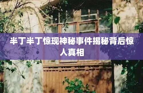 半丁半丁惊现神秘事件揭秘背后惊人真相