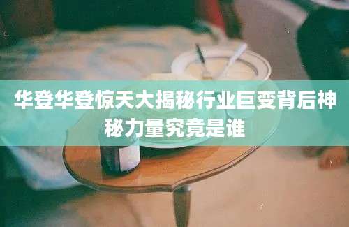 华登华登惊天大揭秘行业巨变背后神秘力量究竟是谁