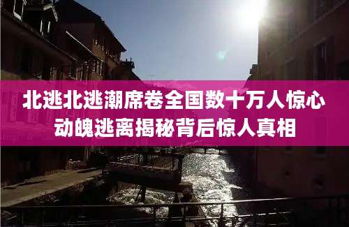 北逃北逃潮席卷全国数十万人惊心动魄逃离揭秘背后惊人真相