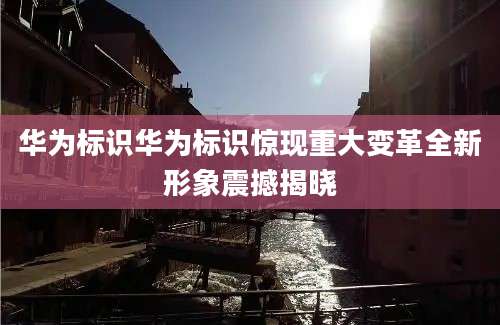 华为标识华为标识惊现重大变革全新形象震撼揭晓