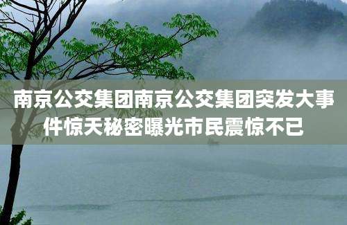 南京公交集团南京公交集团突发大事件惊天秘密曝光市民震惊不已