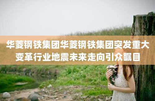华菱钢铁集团华菱钢铁集团突发重大变革行业地震未来走向引众瞩目