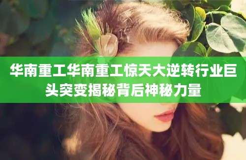 华南重工华南重工惊天大逆转行业巨头突变揭秘背后神秘力量