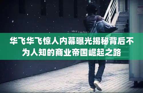 华飞华飞惊人内幕曝光揭秘背后不为人知的商业帝国崛起之路