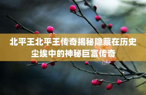 北平王北平王传奇揭秘隐藏在历史尘埃中的神秘巨富传奇