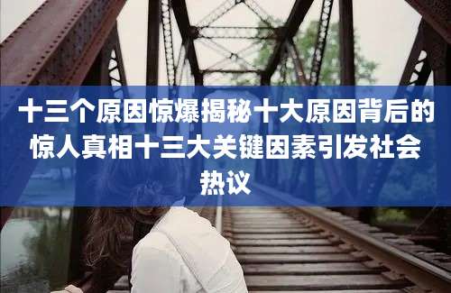 十三个原因惊爆揭秘十大原因背后的惊人真相十三大关键因素引发社会热议