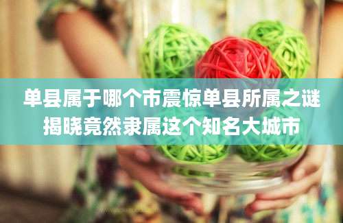 单县属于哪个市震惊单县所属之谜揭晓竟然隶属这个知名大城市