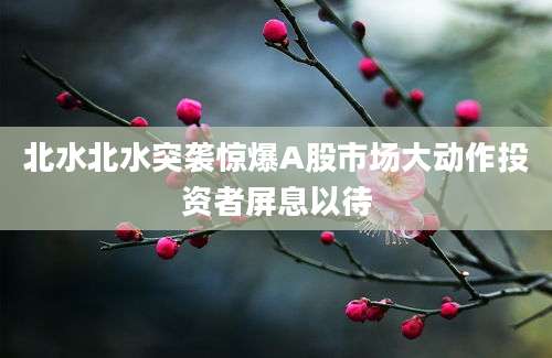 北水北水突袭惊爆A股市场大动作投资者屏息以待