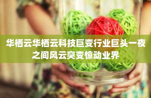 华栖云华栖云科技巨变行业巨头一夜之间风云突变惊动业界